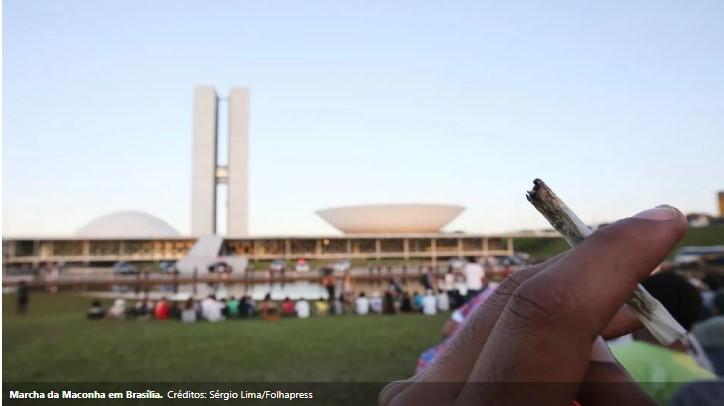 Stf Vai Legalizar A Maconha Entenda O Que Está Em Julgamento Epidauro Pamplona 7240